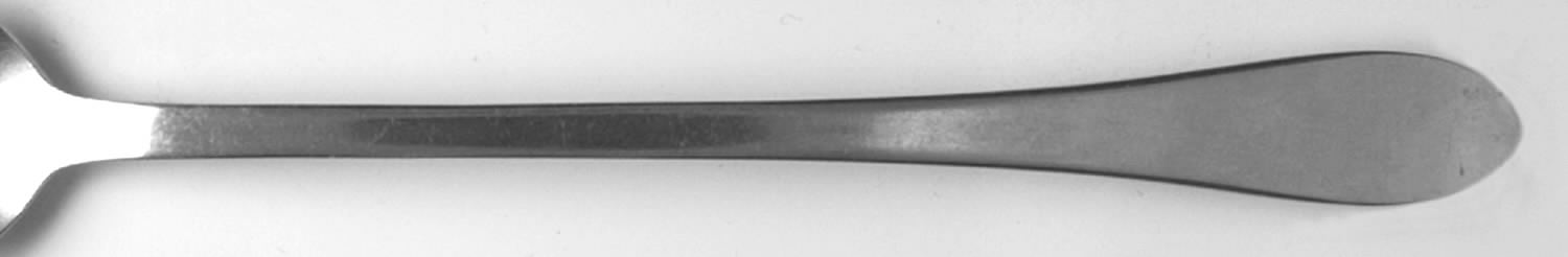 INS250 (Stainless) Iced Tea Spoon by International Silver-1