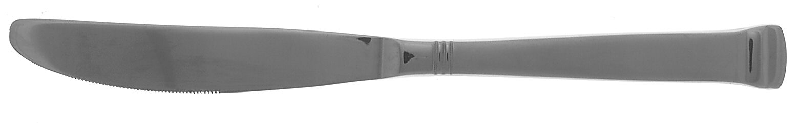 Berkeley Frost (Stainless) Modern Solid Knife by International Silver-1