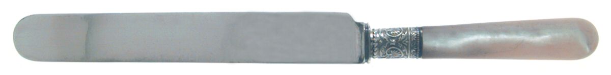 Pearl Handle Flatware 2 (Plated Bolster) Blunt Hollow Knife by International Silver-1