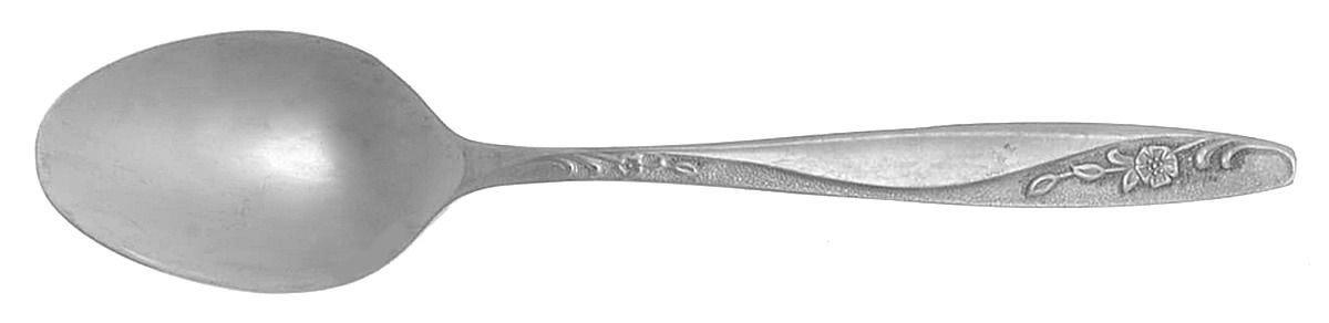 INS304 (STAINLESS) Teaspoon by International Silver-1