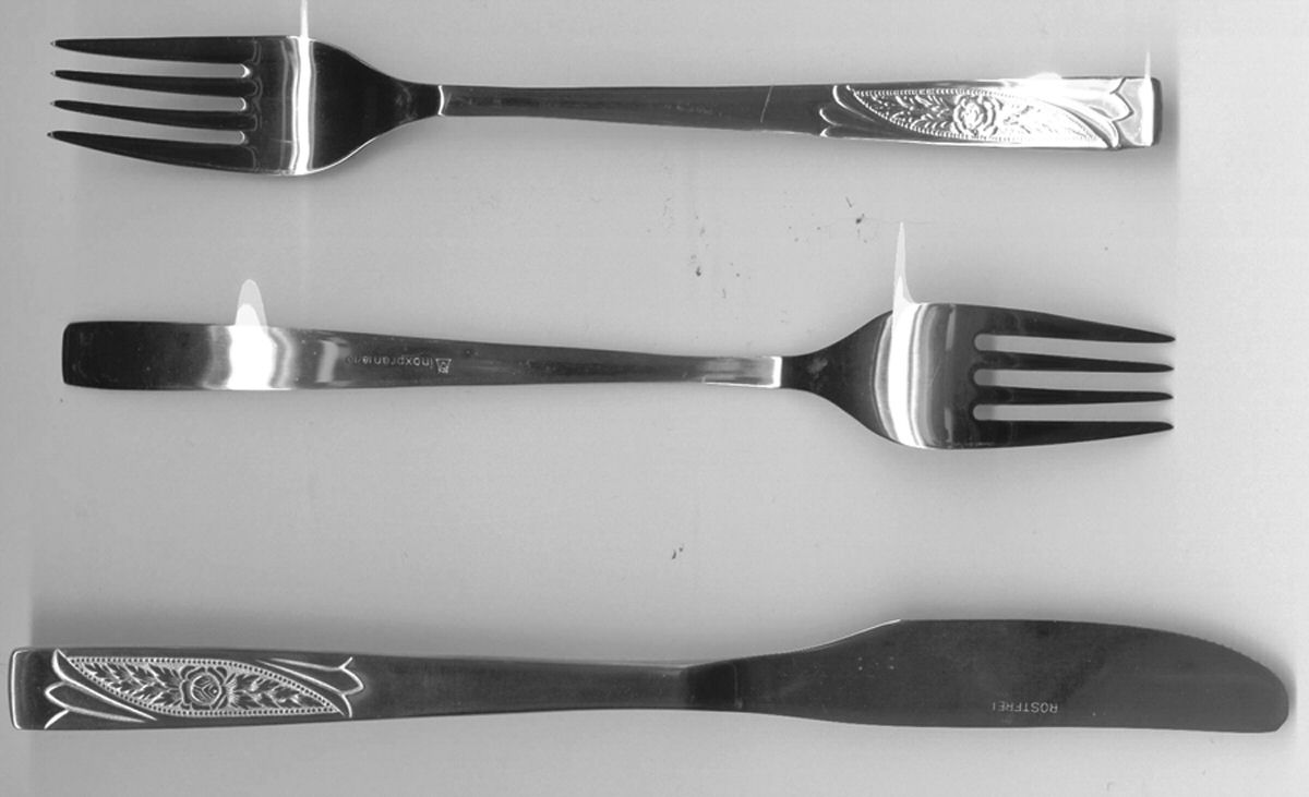 INX1 (STAINLESS) Fork by Inoxpran-1