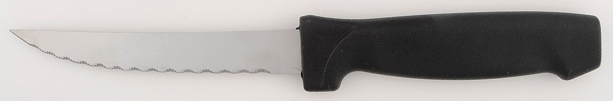 Nouveau (Stainless) Plastic Handle Individual Steak Knife by International Silver-1