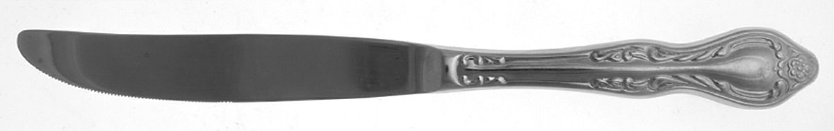 Queen's Fancy (Stainless, Glossy) Modern Hollow Knife by International Silver-1