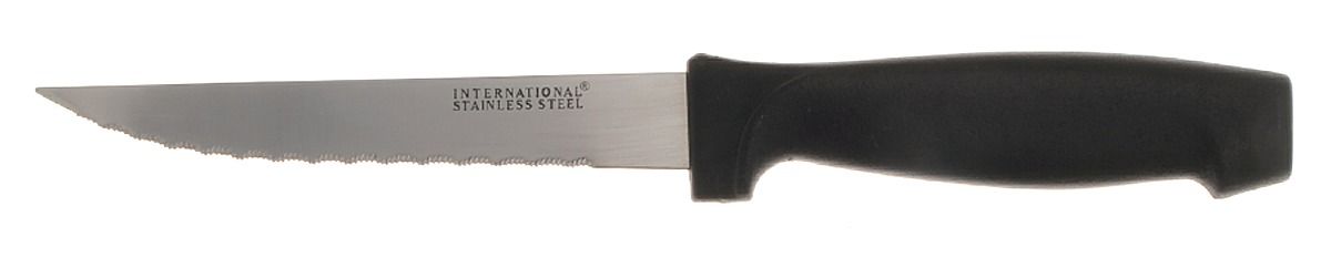 Edgebrook (Stainless) Plastic Handle Individual Steak Knife by International Silver-1