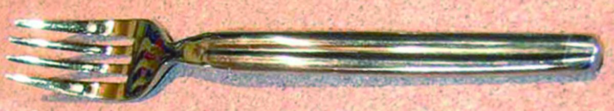 INS402 (Stainless) Individual Salad Fork by International Silver-1