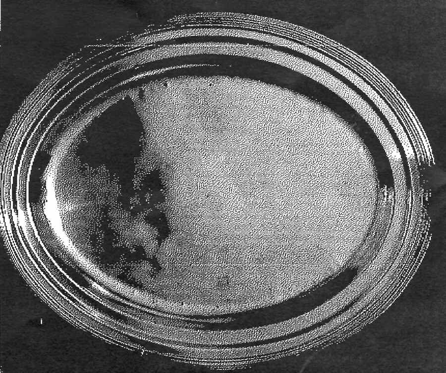 Hilton (Silverplate, Hollowware) 20" Oval Serving Platter by International Silver-1