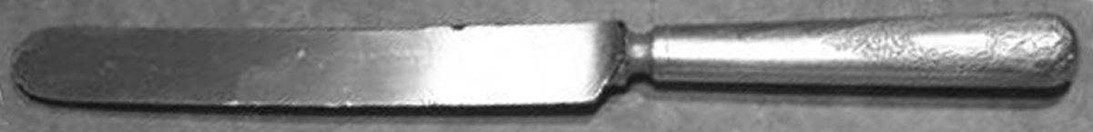 INS492 (Silverplate) Blunt Hollow Knife with Bolster by International Silver-1