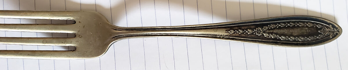 INS493 (Silverplate) Fork by International Silver-1