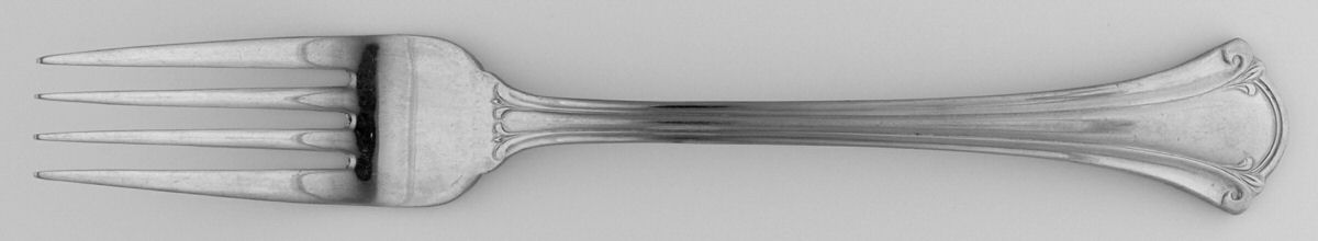 Resplendence (Stainless) Fork by International Silver-1