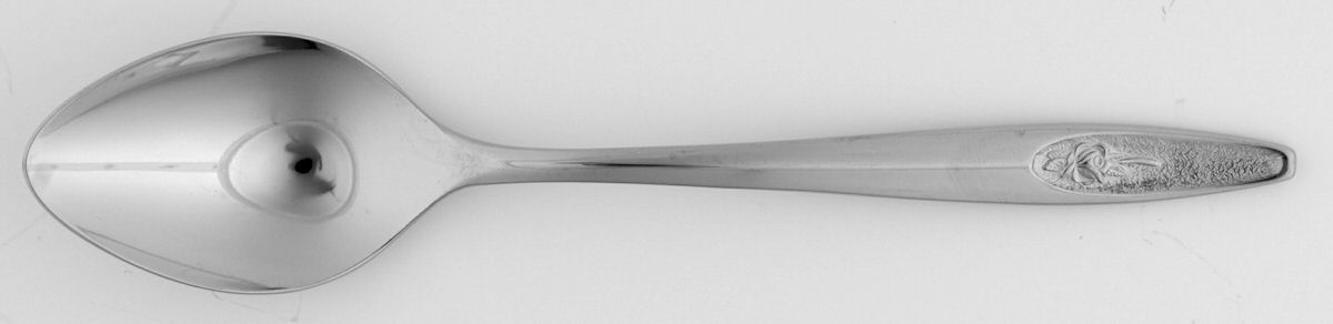 IMI109 (Stainless) Teaspoon by Imperial Intl-1