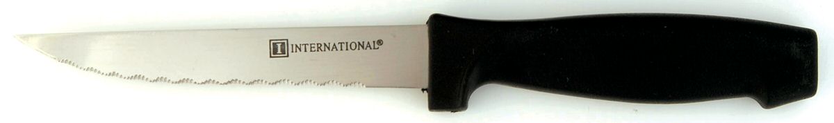 Satin Danford (Stainless) Plastic Handle Individual Steak Knife by International Silver-1
