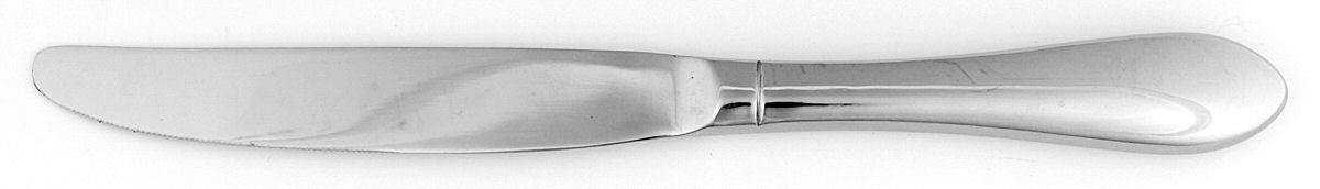 Berkeley (Stainless) Modern Hollow Knife by International Silver-1