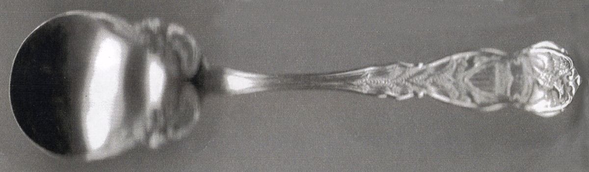 States & Cities Souvenir Spoons (Silverplate) New Jersey Sugar Spoon by International Silver-1