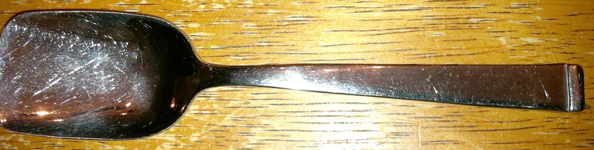 INX4 (Stainless) Sugar Shovel by Inoxpran-1