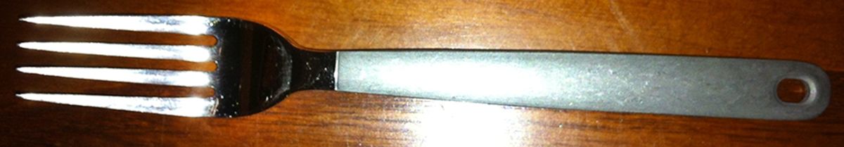 IKE18 (Stainless) Fork by Ikea Flatware-1