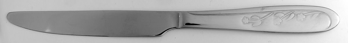 Floral Frost (Stainless) New French Solid Knife by International Silver-1