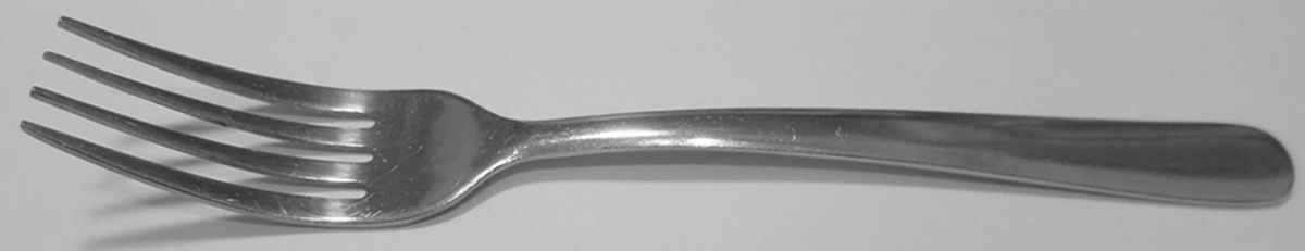 IKE19 (Stainless) Fork by Ikea Flatware-1