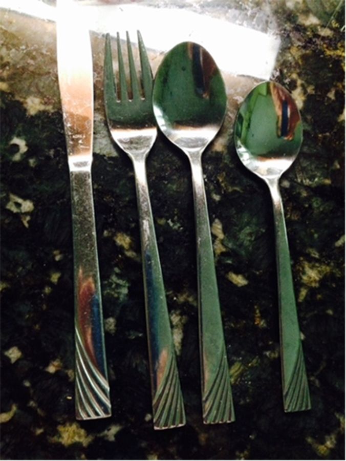 INR40 (Stainless) Fork by Interpur-1
