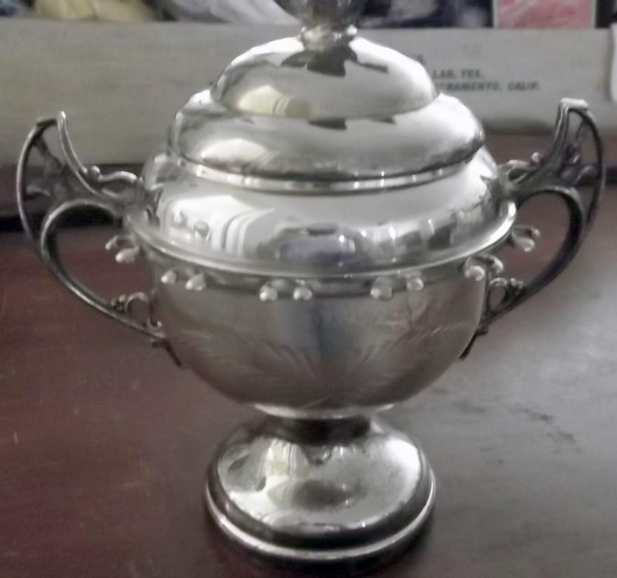 Ins295 (Silverplate, Hollowware) Spooner & Lid w/12 Spoons by International Silver-1