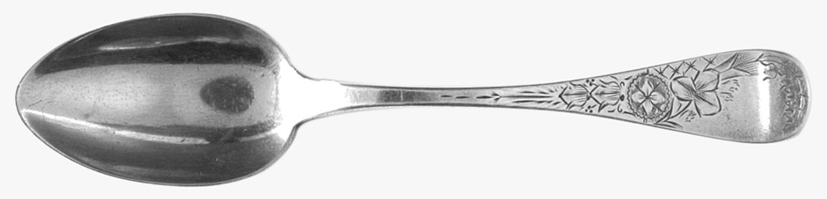 Lily Engraved (Sterling, 1884) Teaspoon by Joseph Seymour-1
