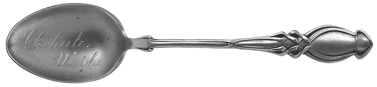 States & Cities Souvenir Spoons(Sterling) Washington State Teaspoon by Joseph Mayer (USA)-1