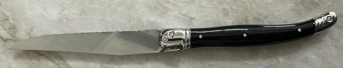 Laguiole-Black (Stainless) Modern Hollow Knife by Jean Dubost (France)-1