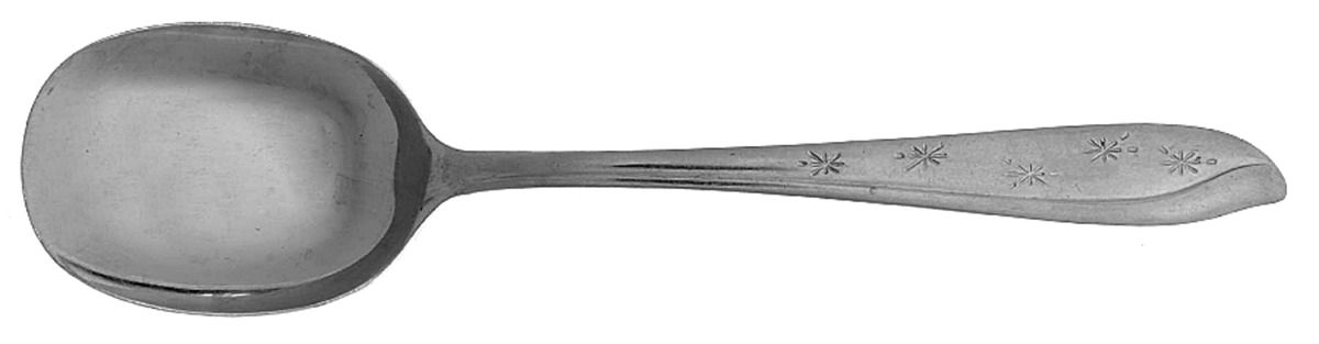 KBA1 (STAINLESS) Sugar Spoon by Koba-1