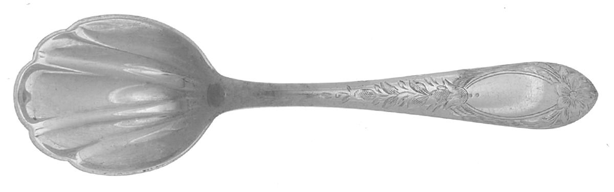 Primrose (Sterling, 1933) Small Sugar Shell Spoon by Kirk Stieff-1