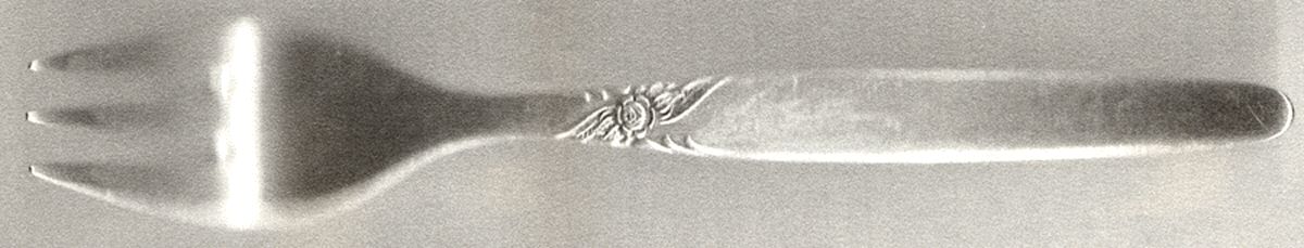 KLB1 (Stainless) Dessert Fork by Klee Blatt-1