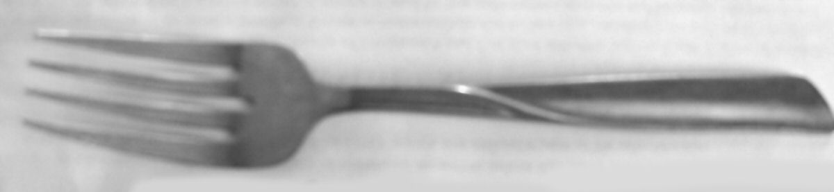 KAO2 (Stainless) Individual Salad Fork by Kaysons-1