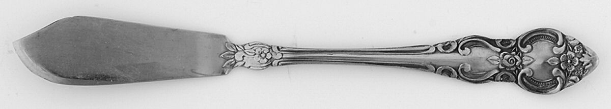 Grande Tradition (Stainless) Flat Handle Master Butter Knife by Lifetime-1