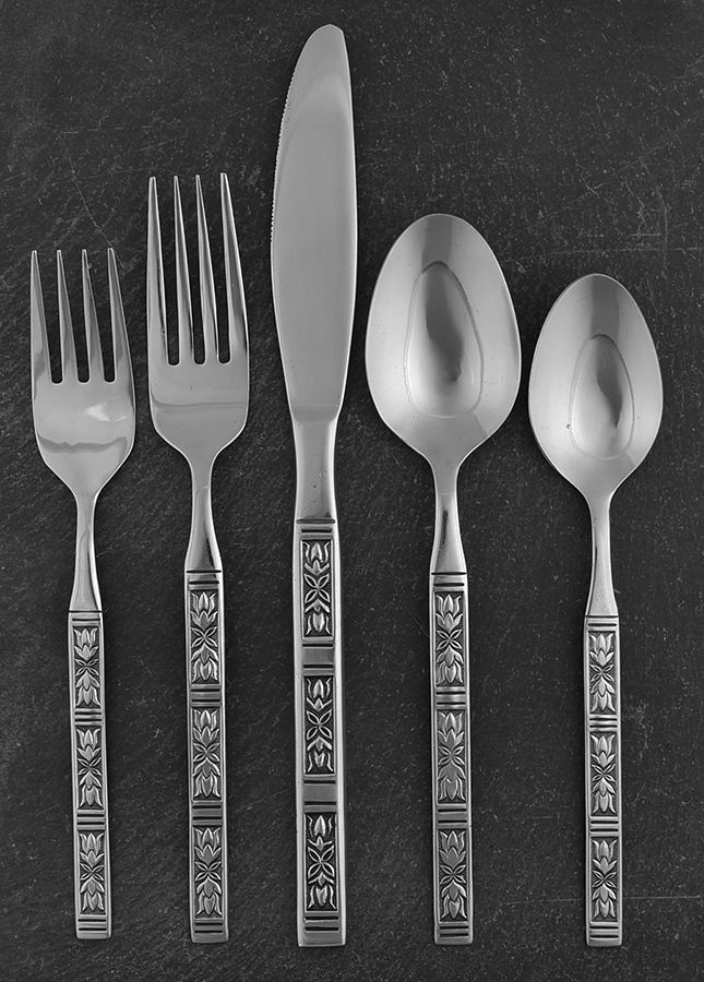 LCU11 (STAINLESS) 5 Piece Place Setting by Lifetime-1