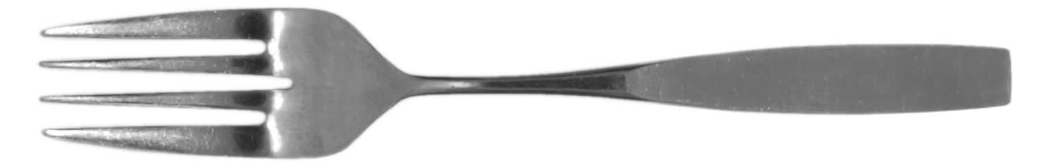 LCU12 (STAINLESS) Individual Salad Fork by Lifetime-1