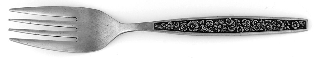 LCU19 (Stainless) Individual Salad Fork by Lifetime-1