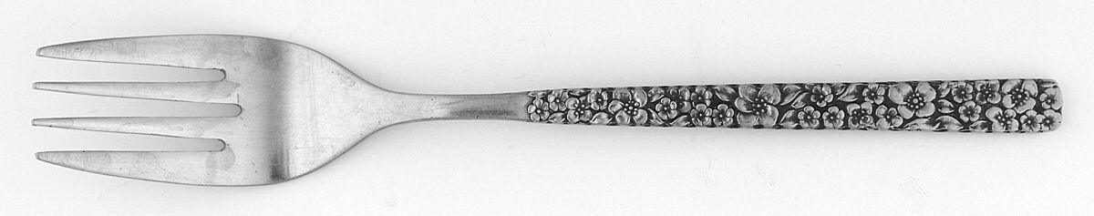 LCU2 (STAINLESS) Individual Salad Fork by Lifetime-1