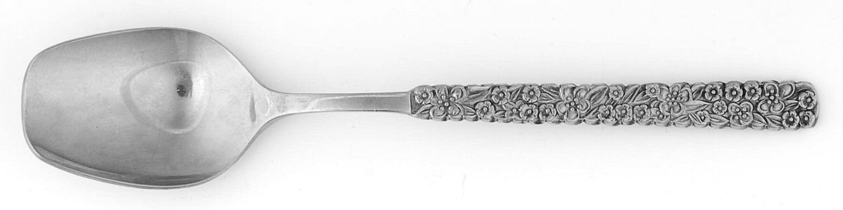LCU2 (STAINLESS) Sugar Spoon by Lifetime-1