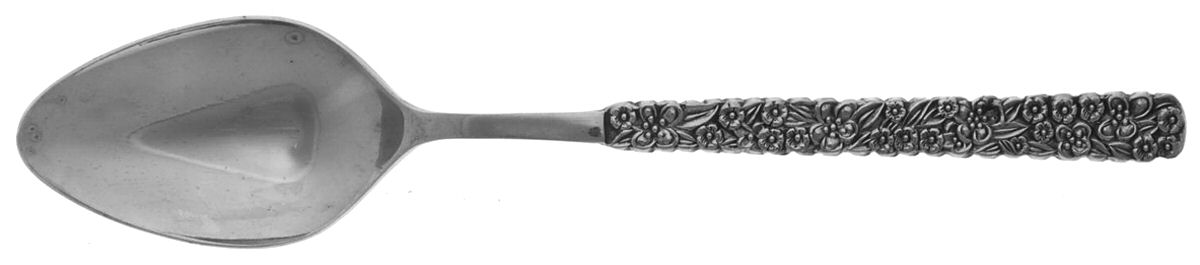 LCU2 (STAINLESS) Teaspoon by Lifetime-1