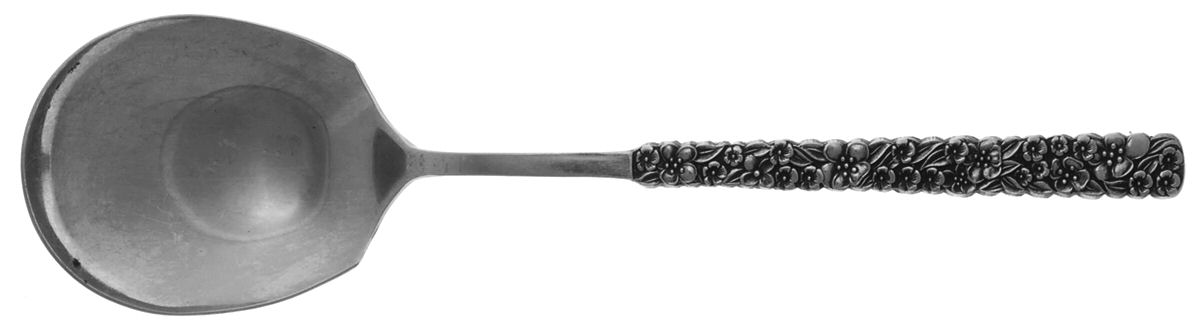 LCU2 (STAINLESS) Solid Smooth Casserole Spoon by Lifetime-1