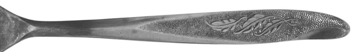 LCU39 (STAINLESS) Individual Salad Fork by Lifetime-1