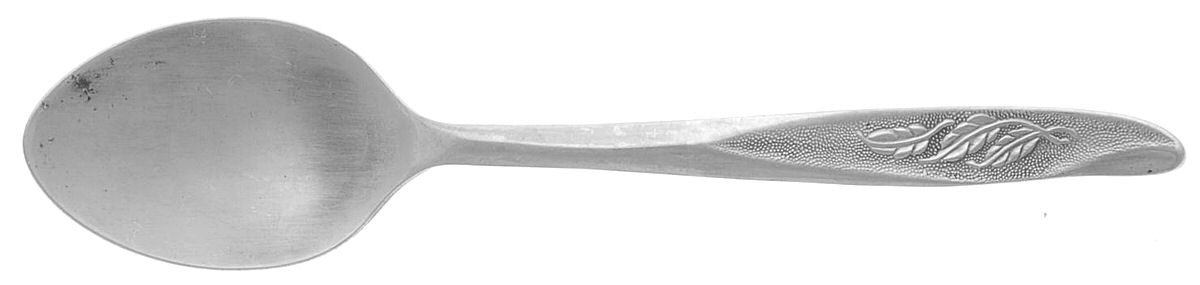 LCU39 (STAINLESS) Teaspoon by Lifetime-1