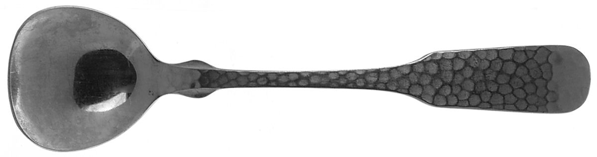 LCU49 (STAINLESS) Sugar Spoon by Lifetime-1