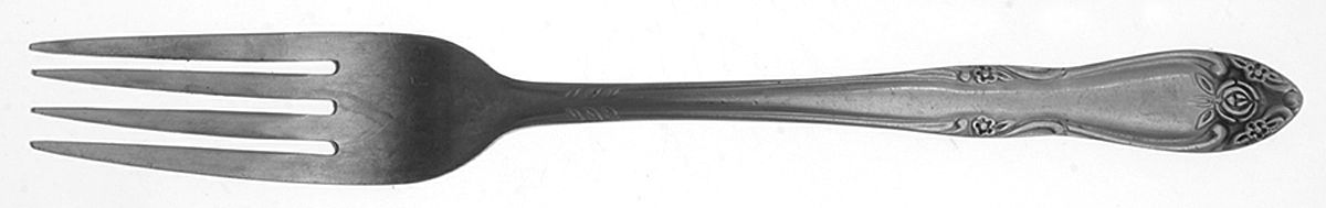 LCU52 (STAINLESS) Fork by Lifetime-1