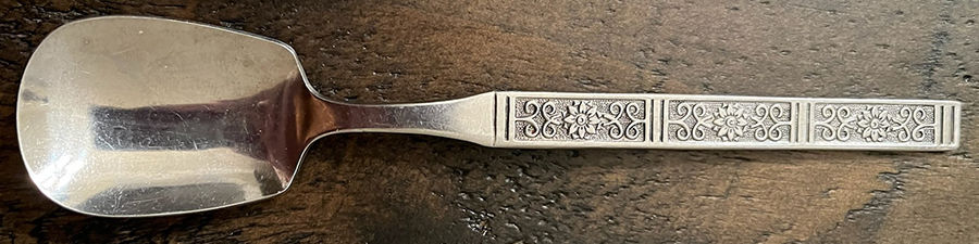 LCU55 (STAINLESS) Sugar Spoon by Lifetime-1