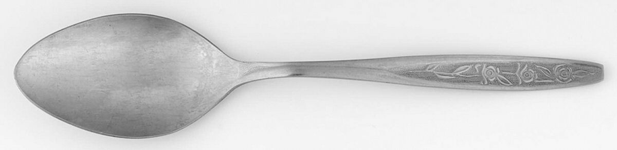 LCU56 (STAINLESS) Place/Oval Soup Spoon by Lifetime-1