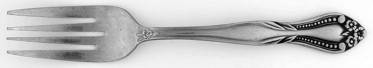 LCU9 (Stainless) Individual Salad Fork by Lifetime-1