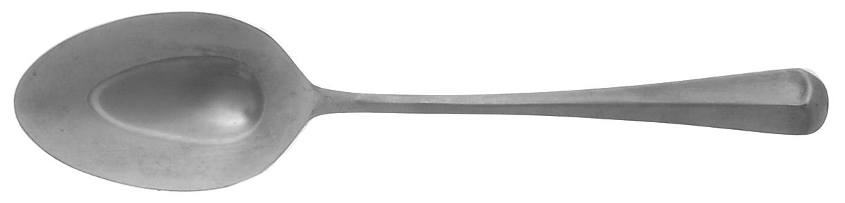 Oyster Bay (Stainless) Tablespoon (Serving Spoon) by Lifetime-1