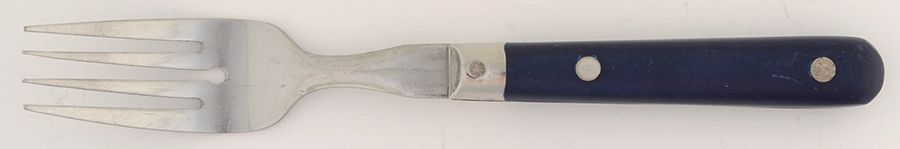 Paris Splendor-Dark Blue (Stainless) Individual Salad Fork by Lifetime-1