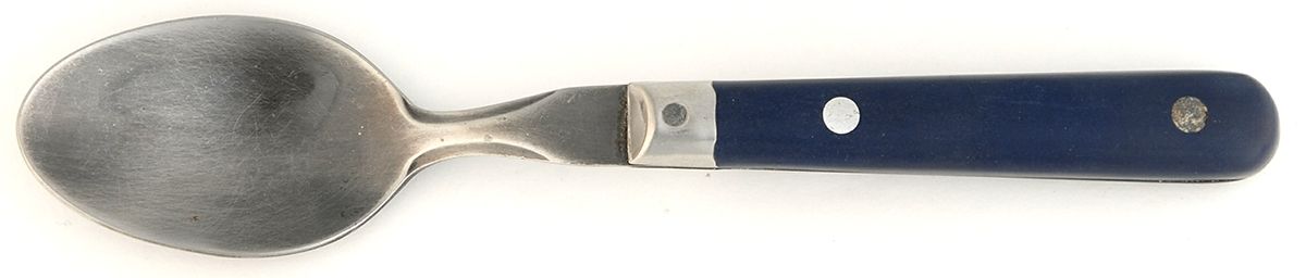 Paris Splendor-Dark Blue (Stainless) Teaspoon by Lifetime-1