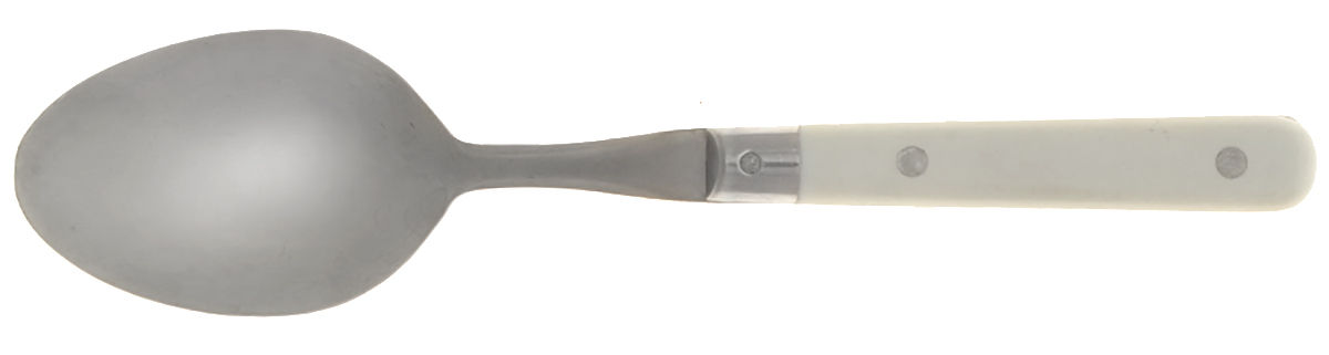 Paris Splendor-White (Stainless) Tablespoon (Serving Spoon) by Lifetime-1