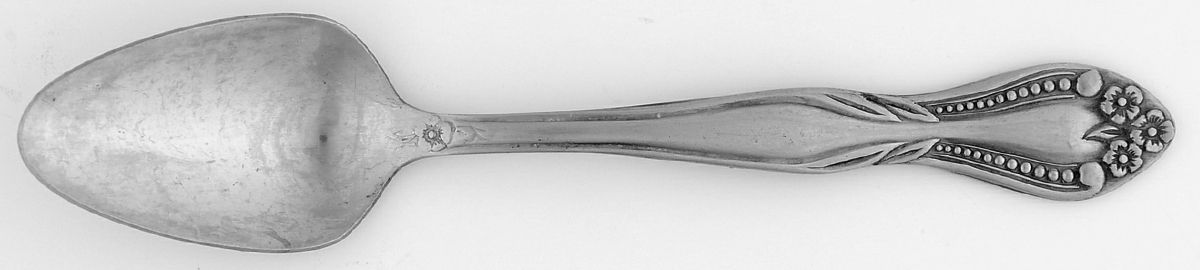Pierrepont (Stainless) Teaspoon by Lifetime-1